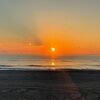 sunsethoneygold